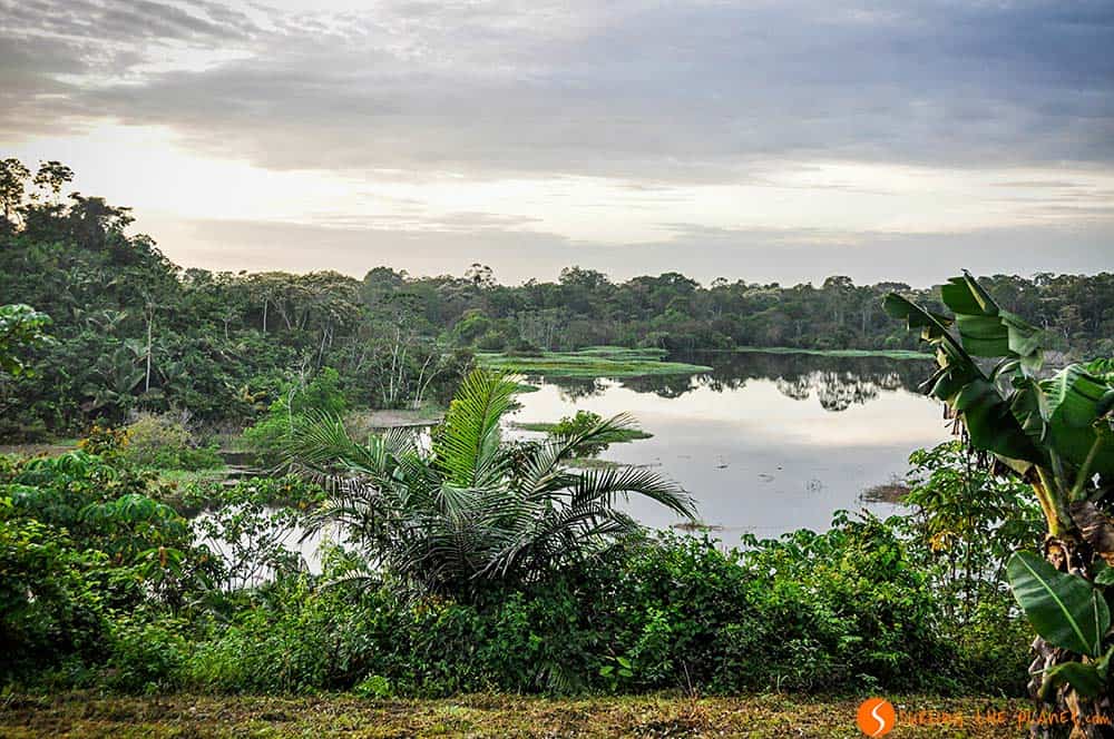 Dawn on a lake - Amazon Rainforest