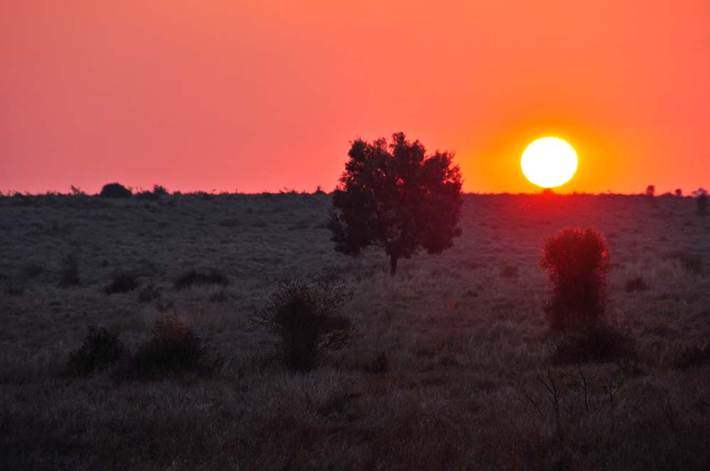 Sunset in the Outback