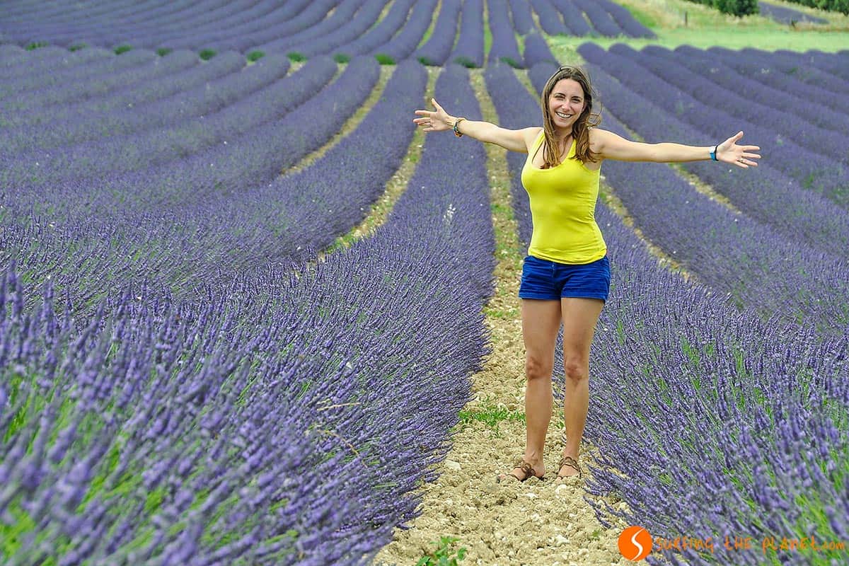 Lavender field close to Réauville | Travel to Provence, France